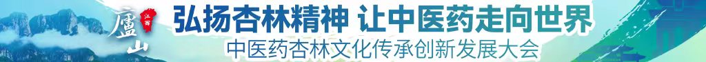 胸部日操逼中医药杏林文化传承创新发展大会